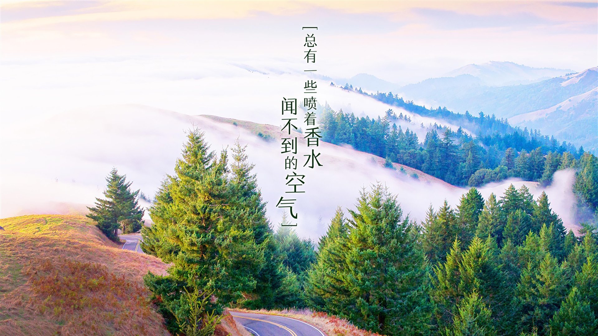_运动员的日常：训练、休息、娱乐都有哪些讲究_，运动员如何休息