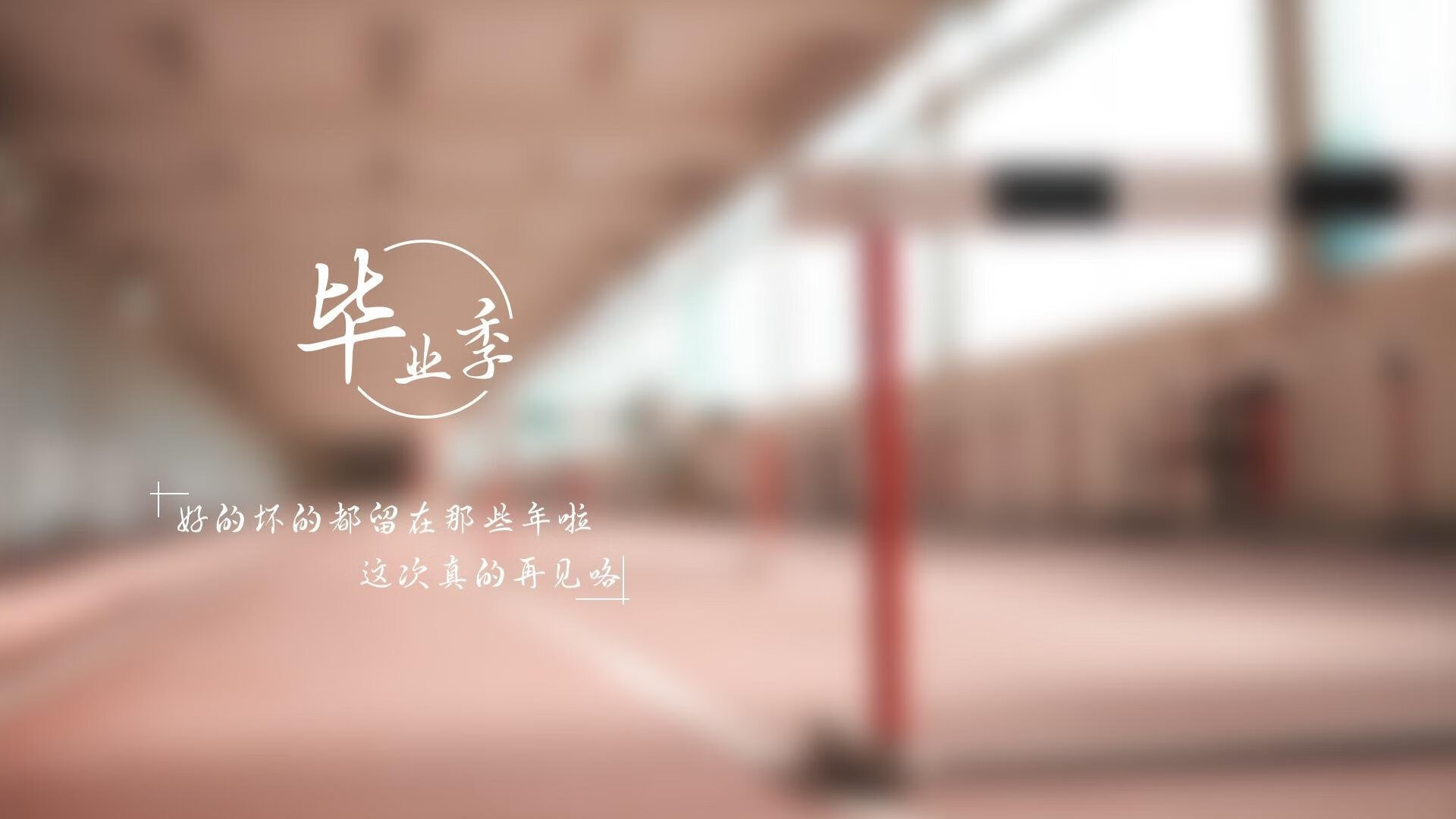 世界马术锦标赛中国骑手表现优异，跻身前十，世界马术冠军