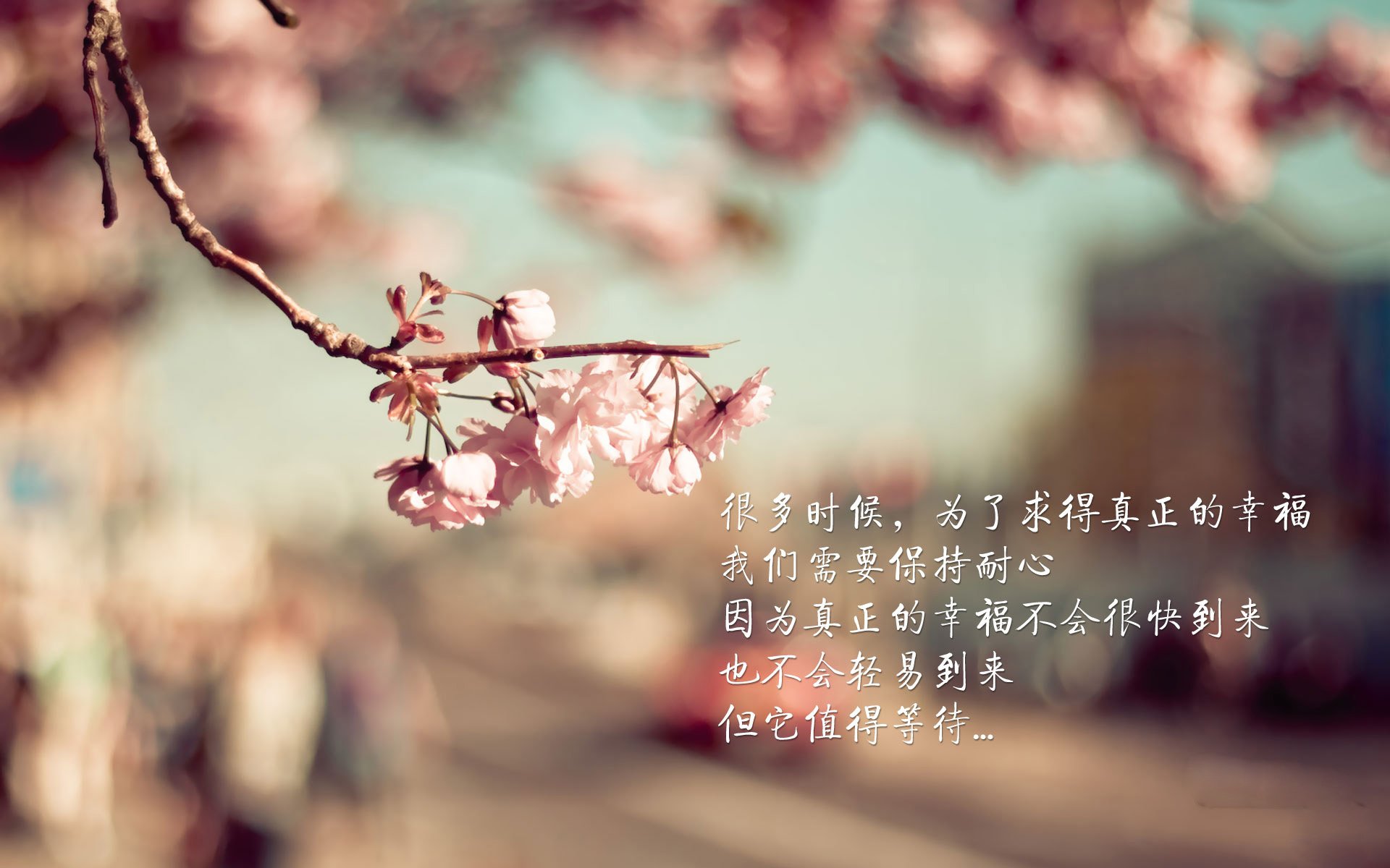 糖果传奇“甜蜜飞跃”玩家线上比拼正酣，糖果传奇的