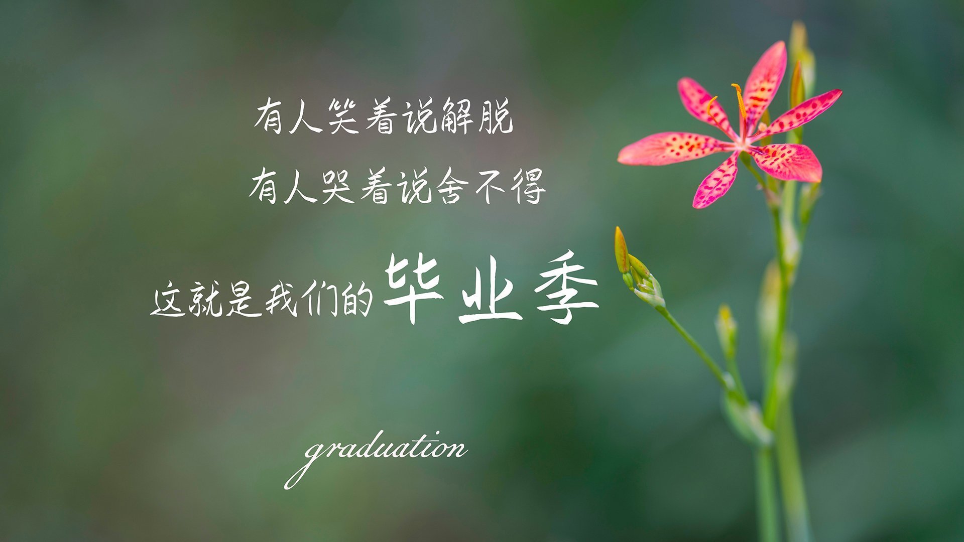 T1选手体能训练成果显著，t1t2训练赛有啥区别