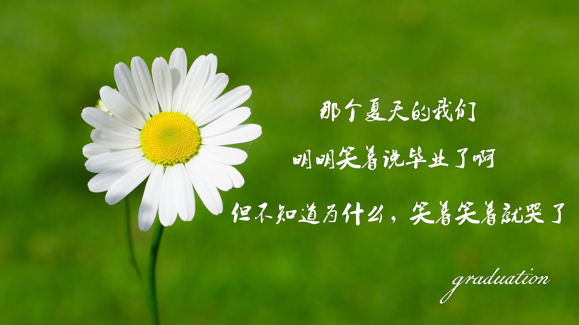 指挥官葡萄牙再战科索沃，展现强大实力，葡萄牙科斯塔
