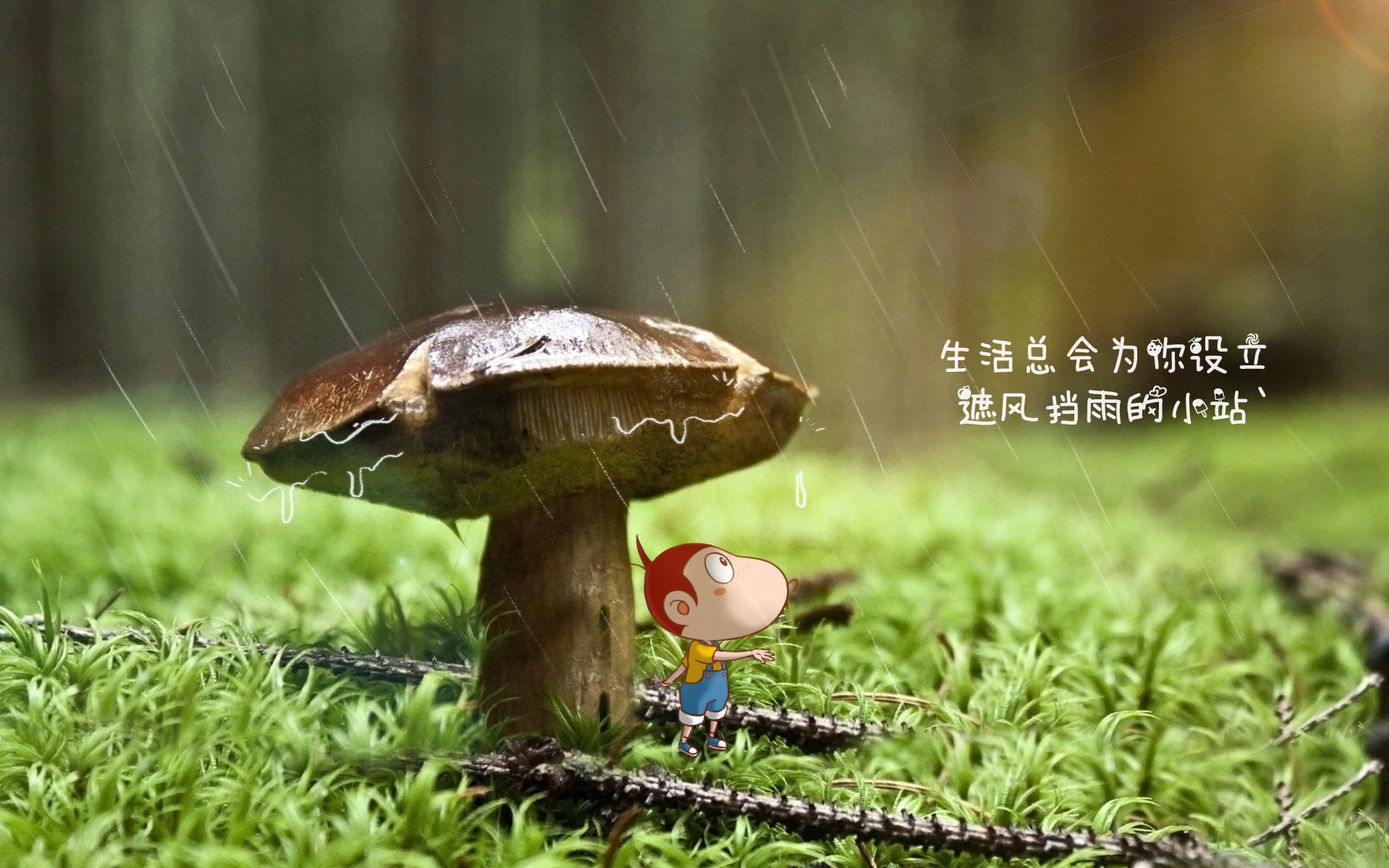 深圳马可波罗 主场优势明显，深圳马可波罗主场球馆