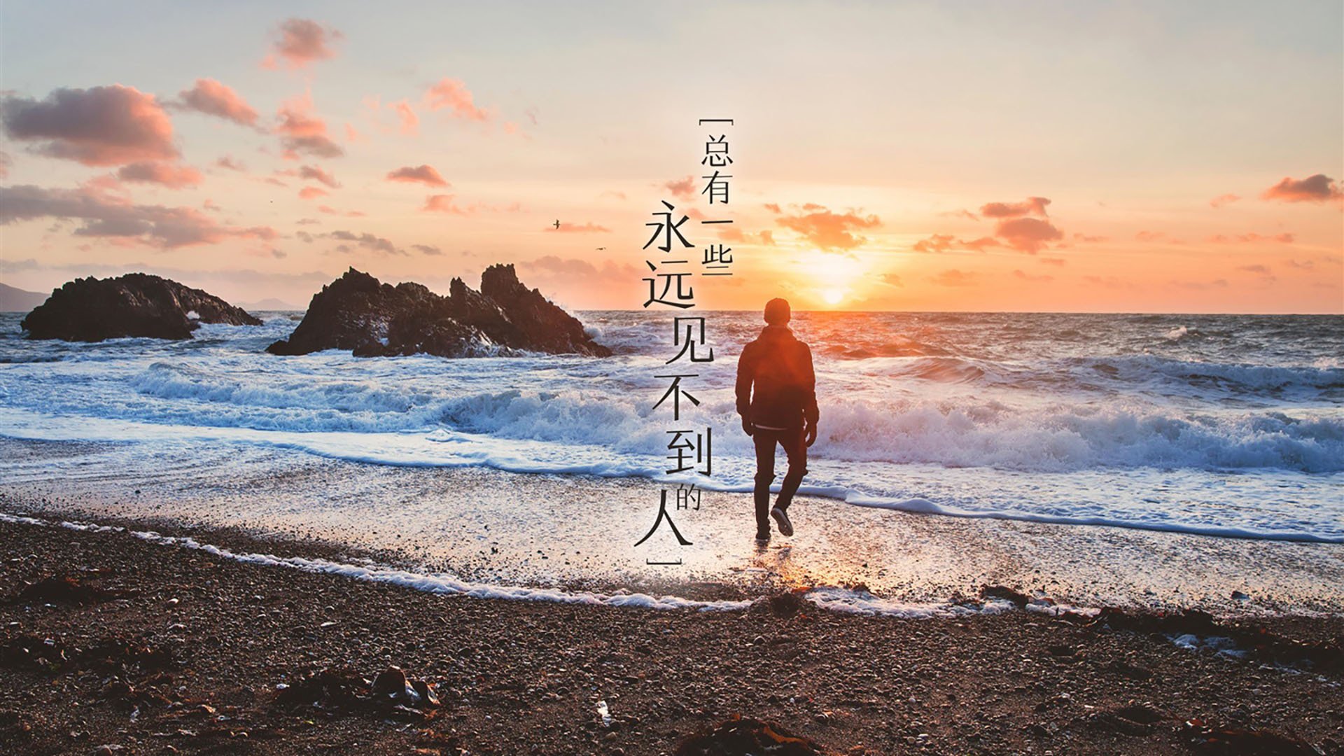 芝加哥小熊队在赛季末取得连胜，芝加哥小熊队队服