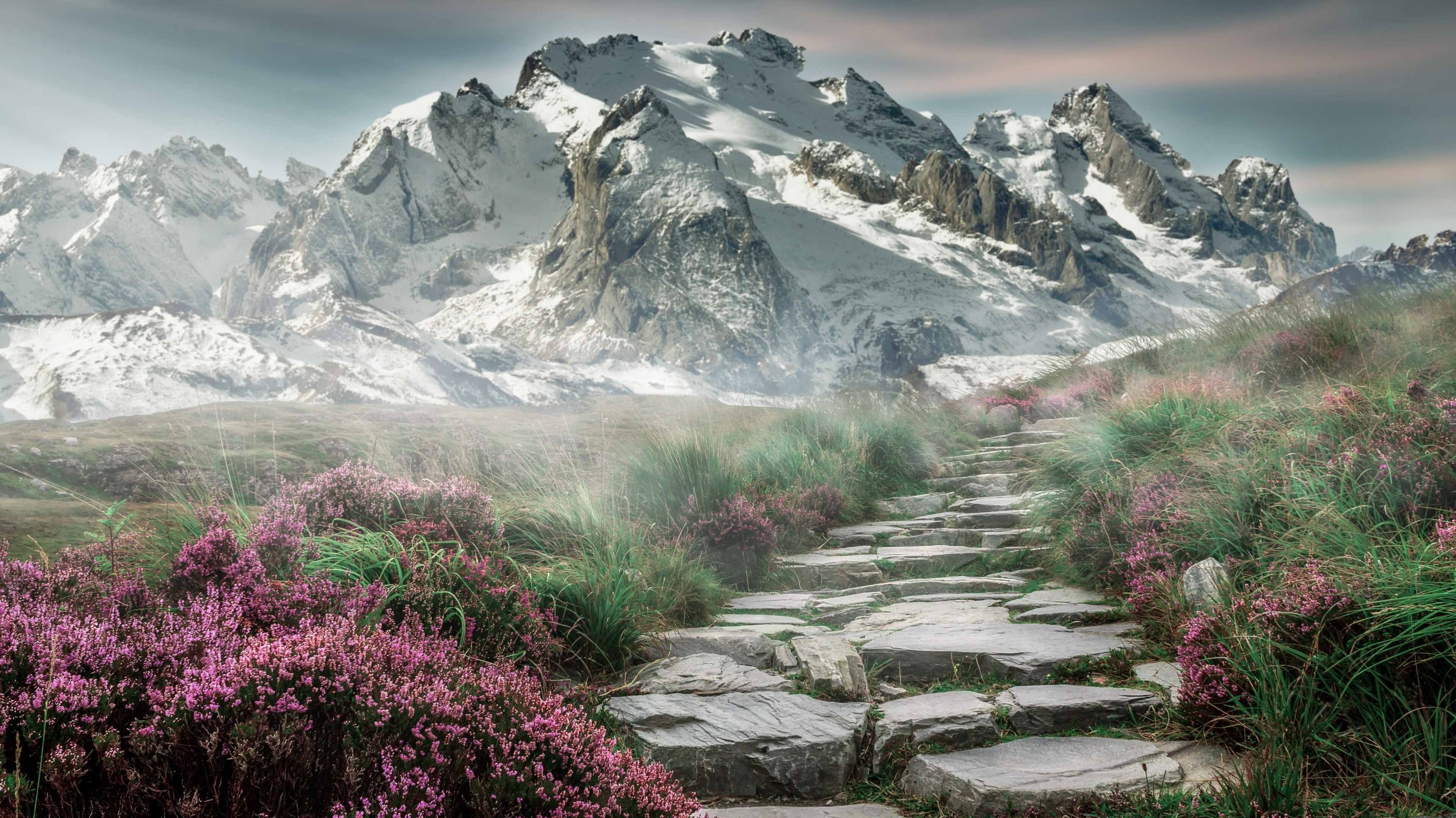 波兰队赛制深度分析：赛制下的技术与战术应用，波兰队阵型