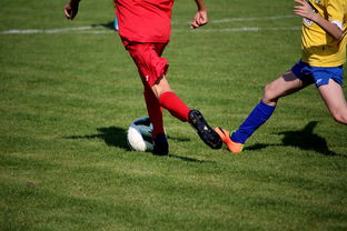 中小学篮球教研活动不断创新教学方法提升训练效果，篮球教研活动总结